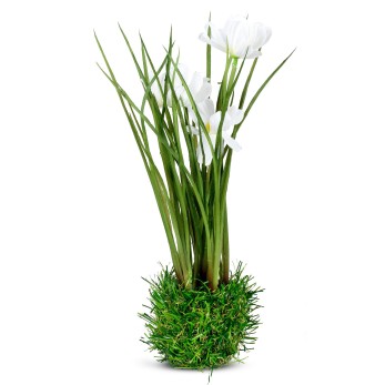 Blumen auf Grassockel 24cm Cosmea 2
