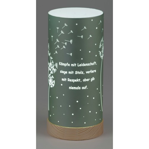 Deko-Licht grün 20cm - Kämpfe mit Leidenschaft