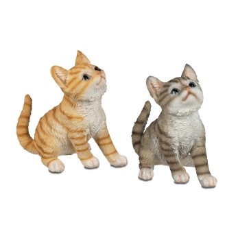 Katze 20cm hoch schauend  Natur