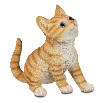 Katze 20cm hoch schauend  Natur 2