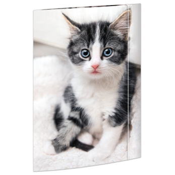 Zeichenmappe "Katze", Karton, 350 g/qm, DIN A3