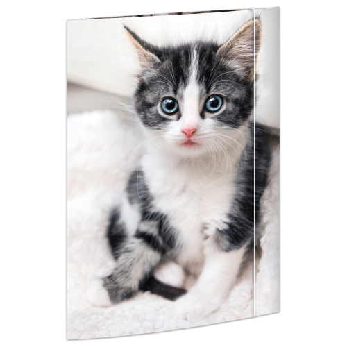 Zeichenmappe "Katze", Karton, 350 g/qm, DIN A3