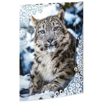 Zeichenmappe Schneeleopard, Karton, 350 g/qm, DIN A3