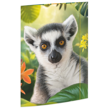 Zeichenmappe  "Lemur", Karton, 350 g/qm, DIN A3