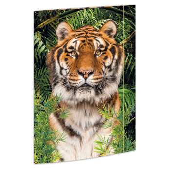 Zeichenmappe "Tiger", Karton, 350 g/qm, DIN A3