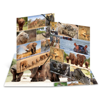 Sammelmappe A3 Karton Afrika Tiere 2