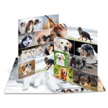 Sammelmappe A3 Karton Hunde 2