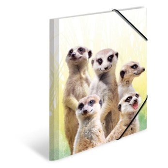 Sammelmappe A3 PP Erdmännchentruppe