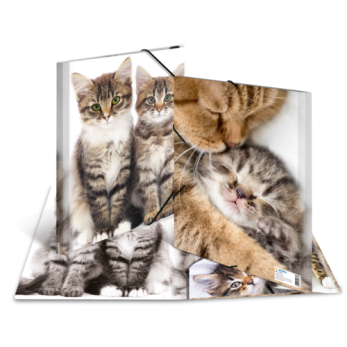 Sammelmappe A4 PP Katzen 2