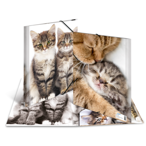 Sammelmappe A4 PP Katzen