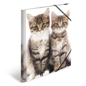 Sammelmappe A4 PP Katzen