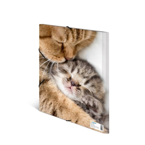 Sammelmappe A4 PP Katzen