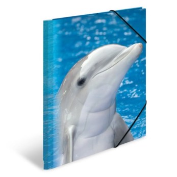 Sammelmappe A4 PP Delfin