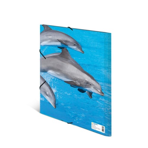 Sammelmappe A4 PP Delfin