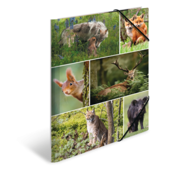 Sammelmappe A4 Karton Waldtiere