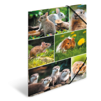Sammelmappe A4 Karton Nagetiere