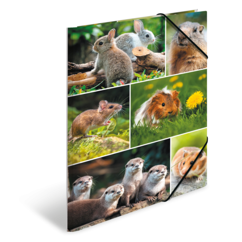 Sammelmappe A4 Karton Nagetiere