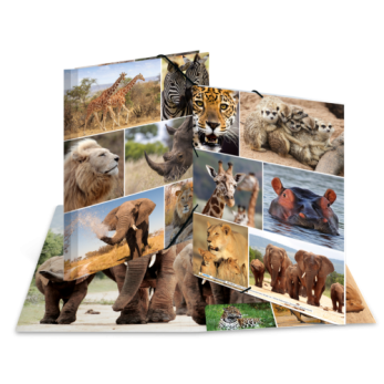 Sammelmappe A4 Karton Afrika Tiere 2