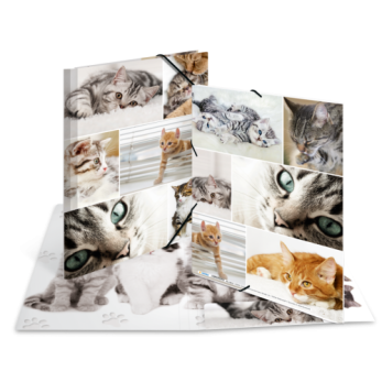 Sammelmappe A4 Karton Katzen 2