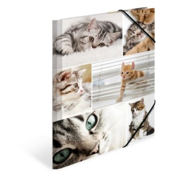 Sammelmappe A4 Karton Katzen