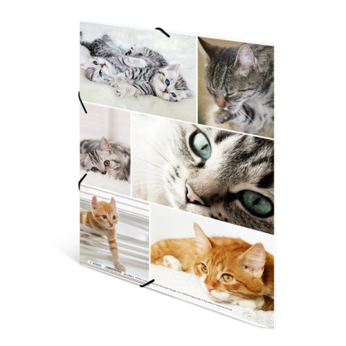 Sammelmappe A4 Karton Katzen