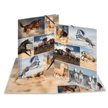 Sammelmappe A4 Karton Pferde 2