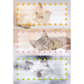 Schuletiketten Katzen 2