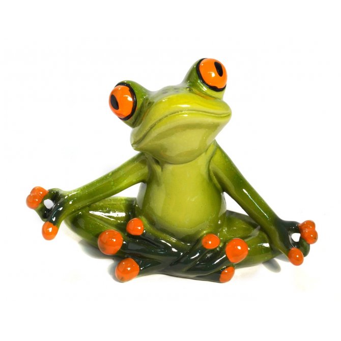 Frosch Yoga meditierend